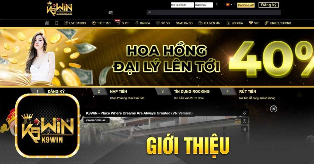 Giới thiệu về K9WIN