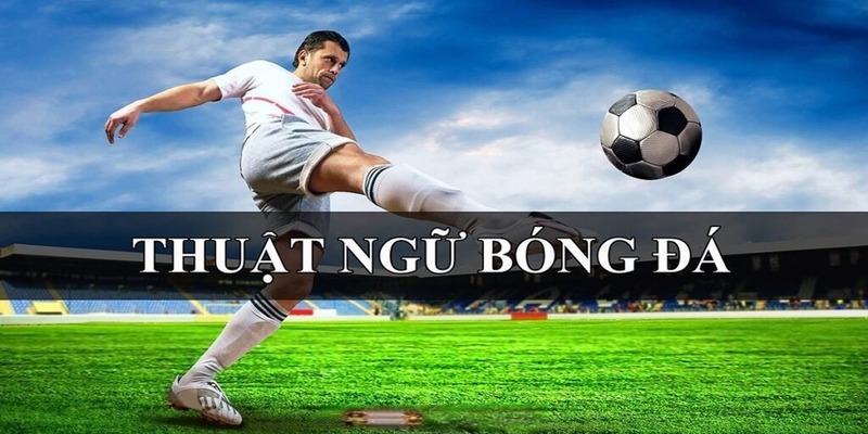 Thuật ngữ liên quan đến sân bóng